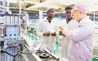 浙江日报 照明电器及配套设备产业，点亮浙江智造新未来